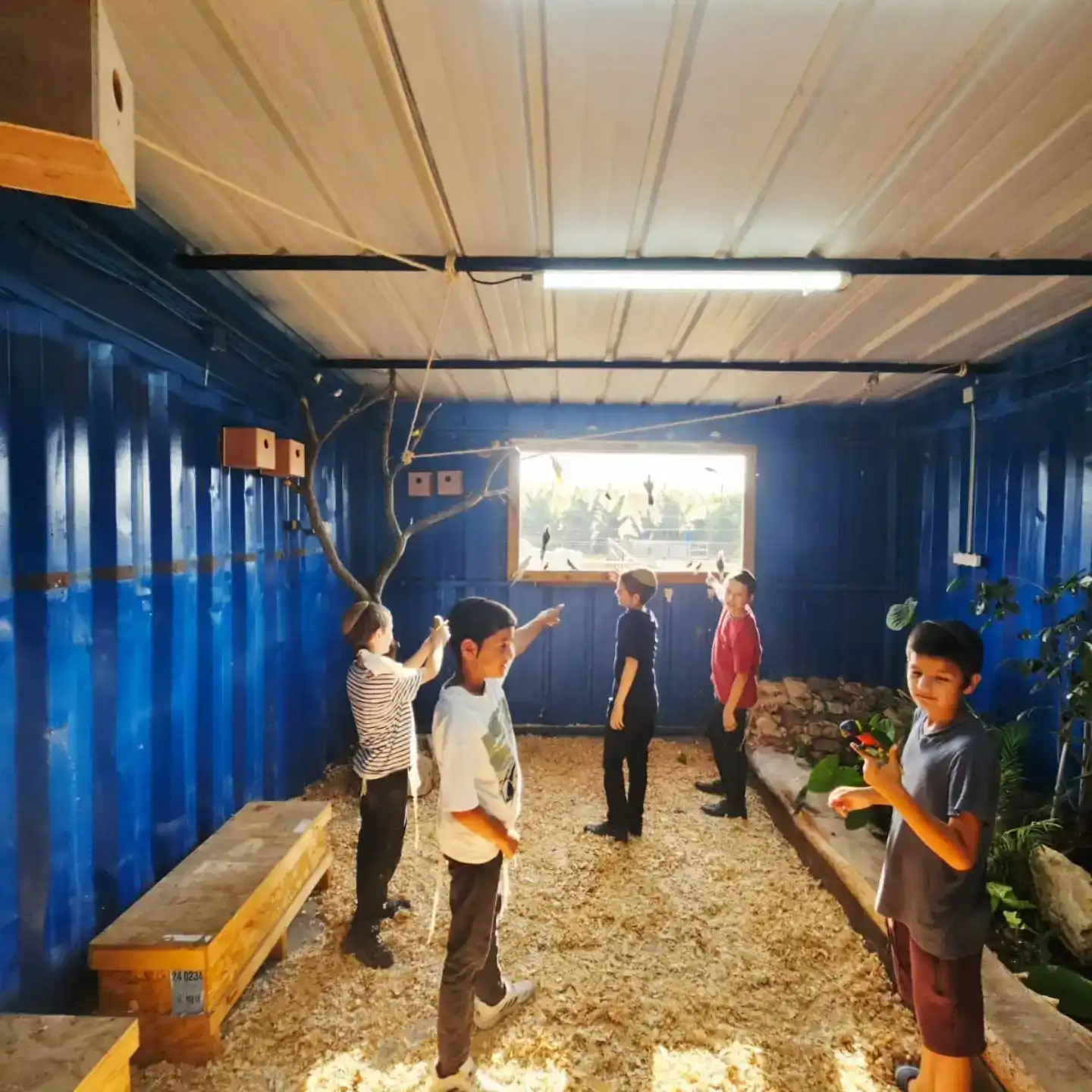 סיורים מטעם בתי הספר והגנים