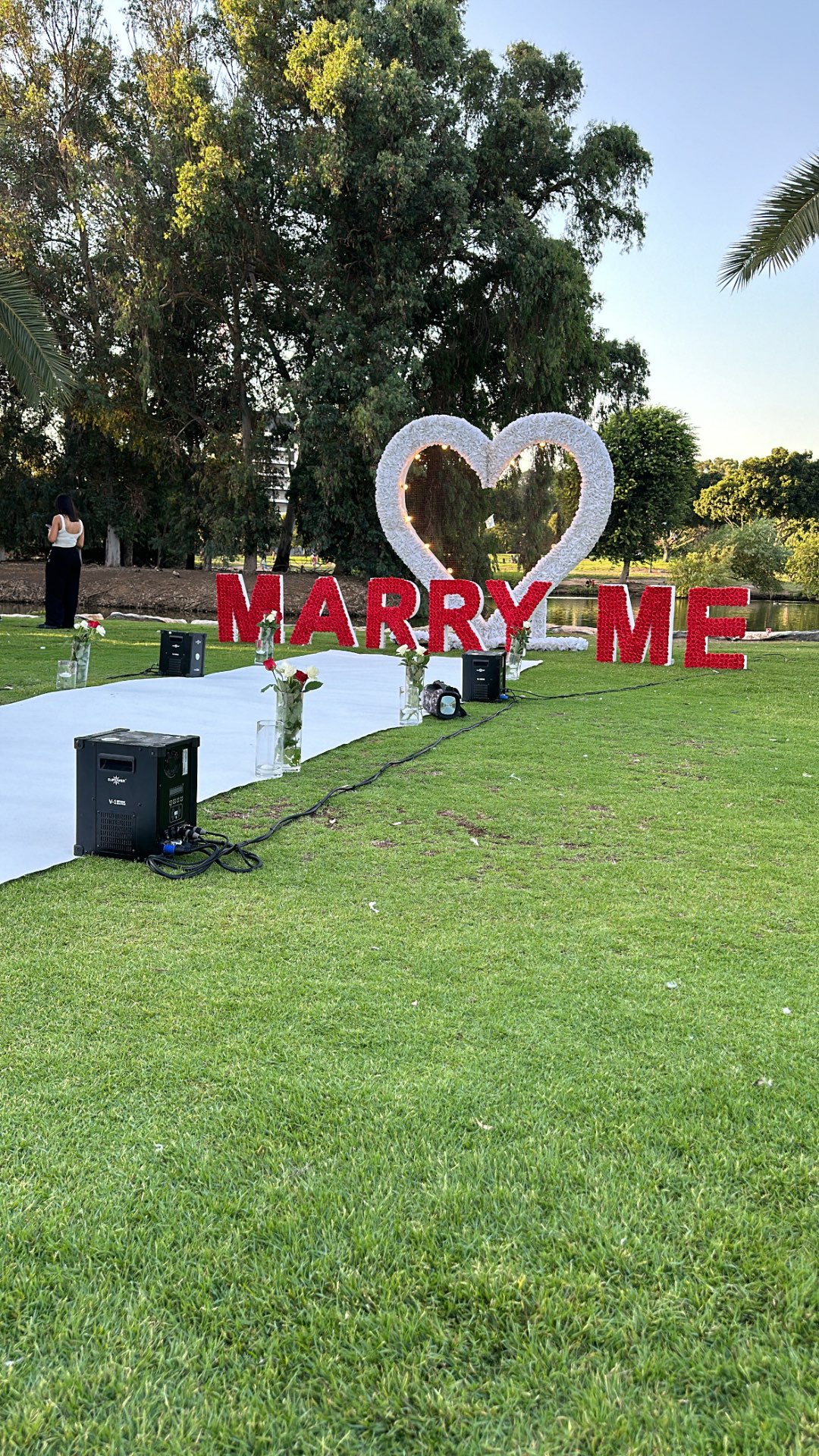 הצעות נישואין