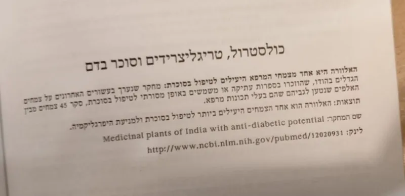 משקה אלוורה