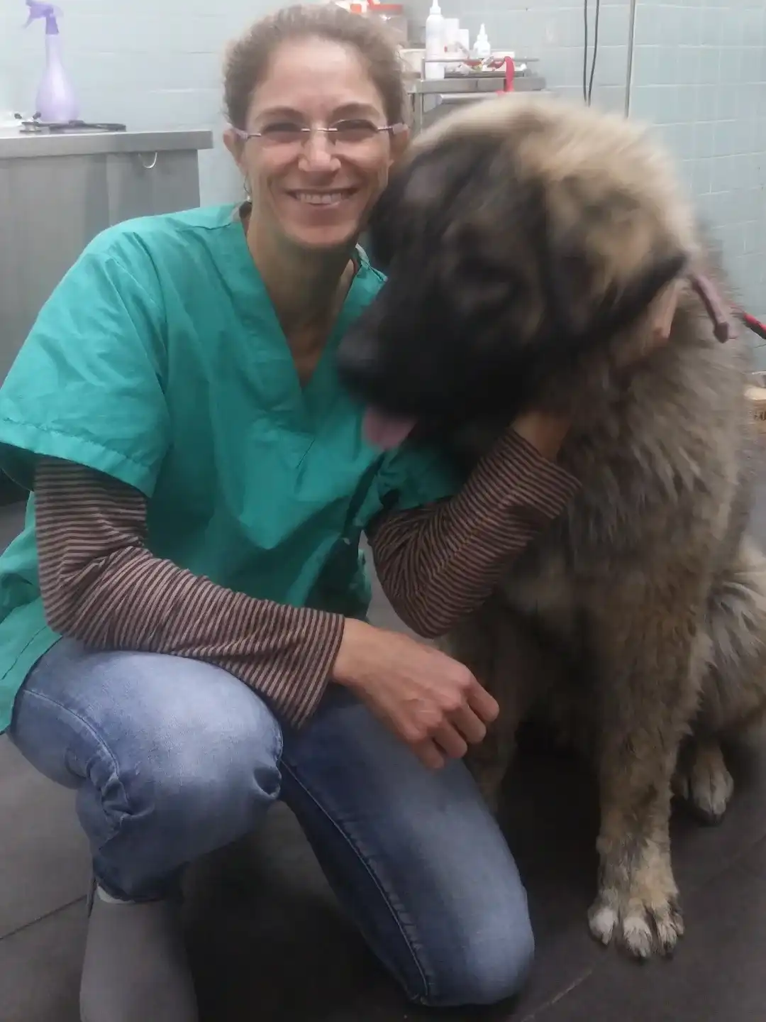 למה לבחור בווטרינרית שמגיעה עד הבית?