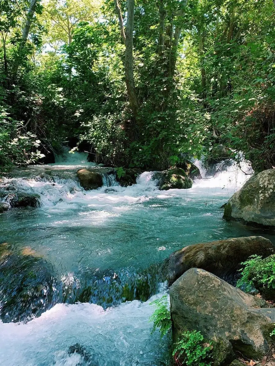 הנוף באיזור