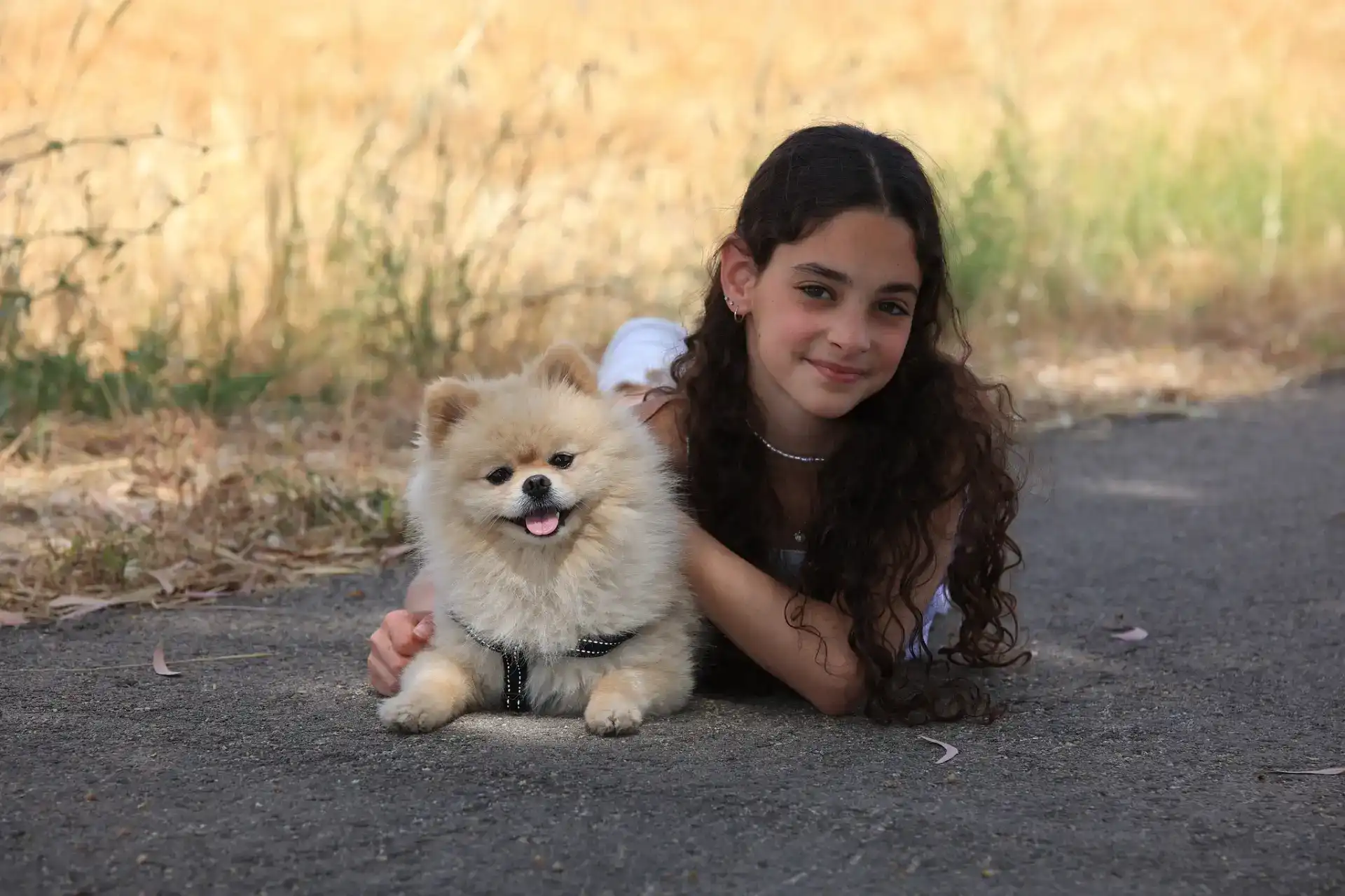 פיתוח אלבומים ותמונות