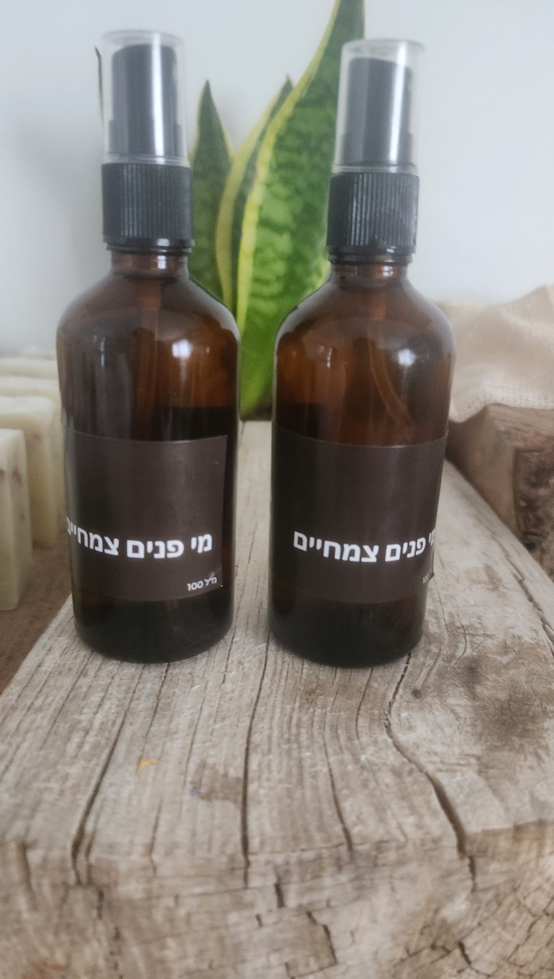 מי פנים צמחיים