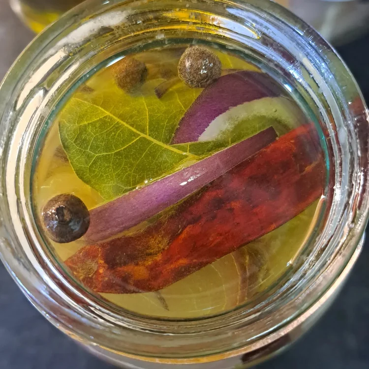 דגים כבושים