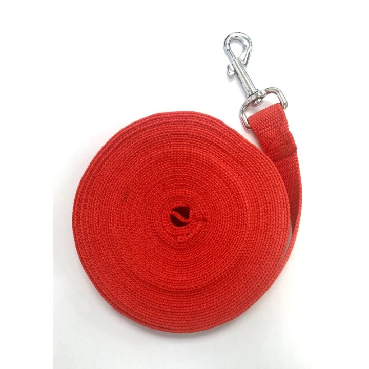 רצועת אילוף 10 מטר