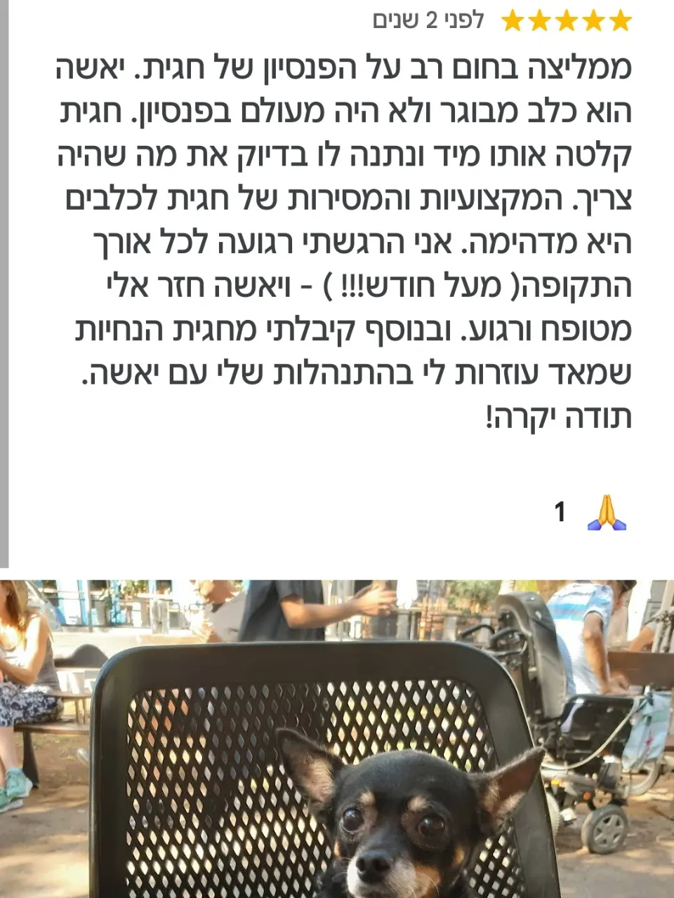 ביקורות מגוגל