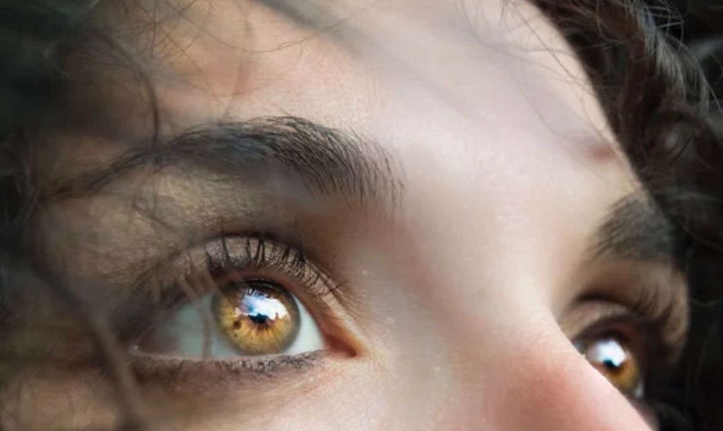 אירדיולוגיה