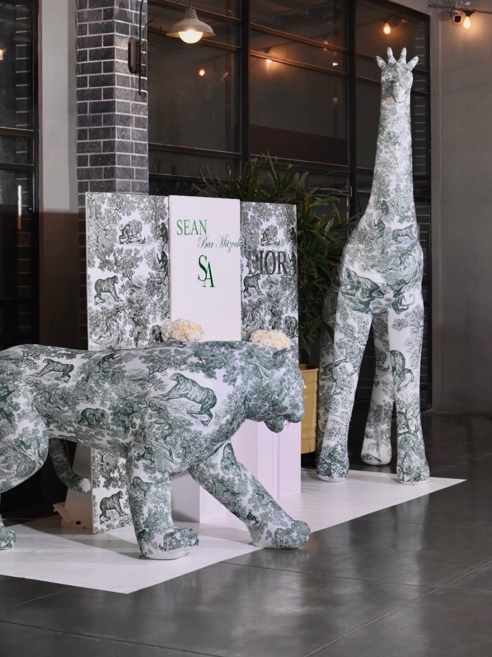 קיר צילום דיור נאמוס