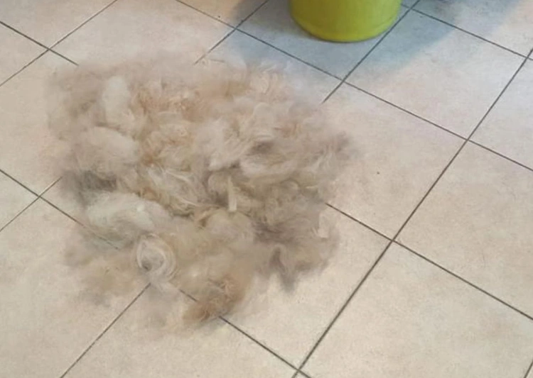 פתיחת קשרים, טיפוח ודילול פרווה