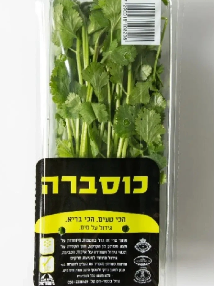 כוסברה