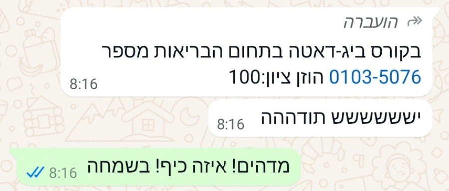 אלון פ. מספר: