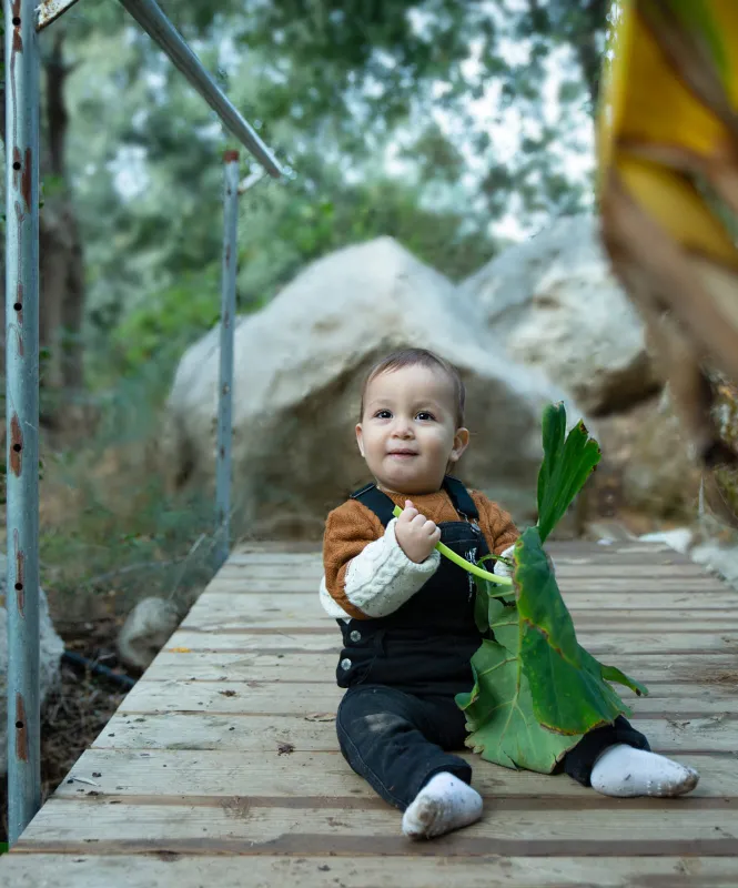 צילומי סמאש / גיל שנה