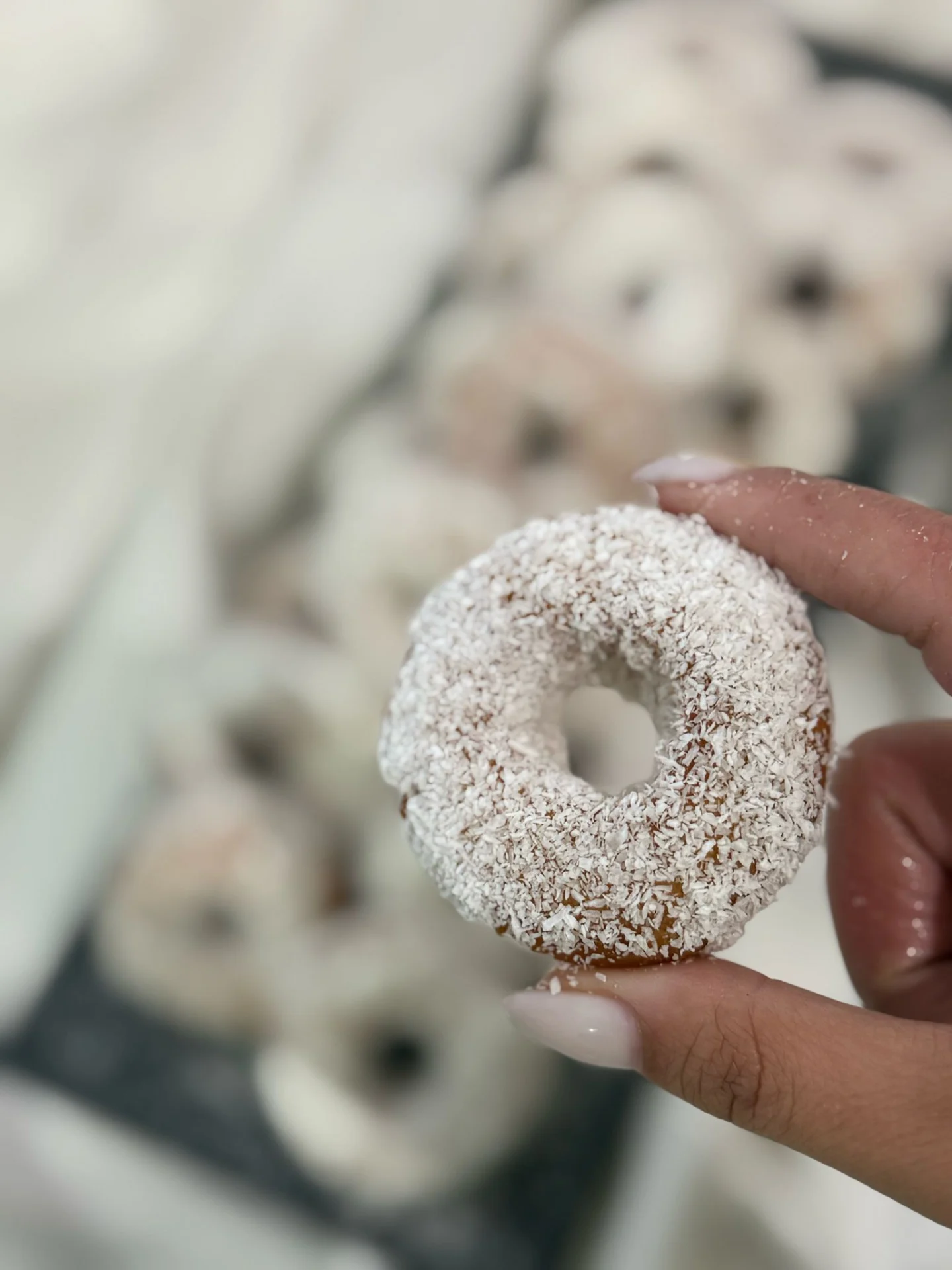 מכירת מגשי חינה / עוגיות מרוקאיות לכל אירוע