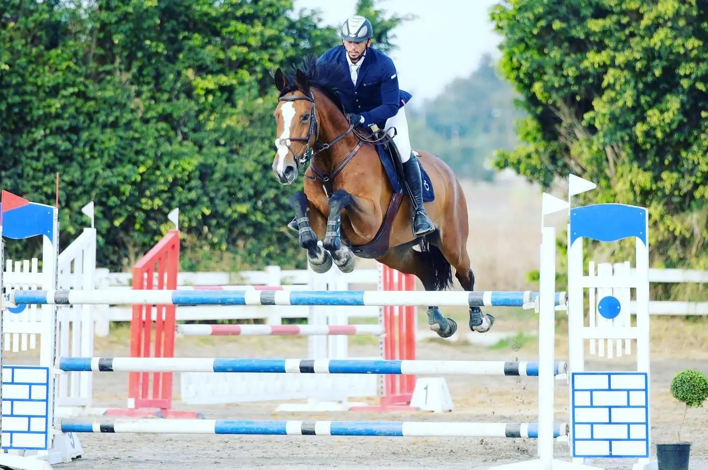 כוחו של טיפול באמצעות סוסים בחוות מרום סטייבלס