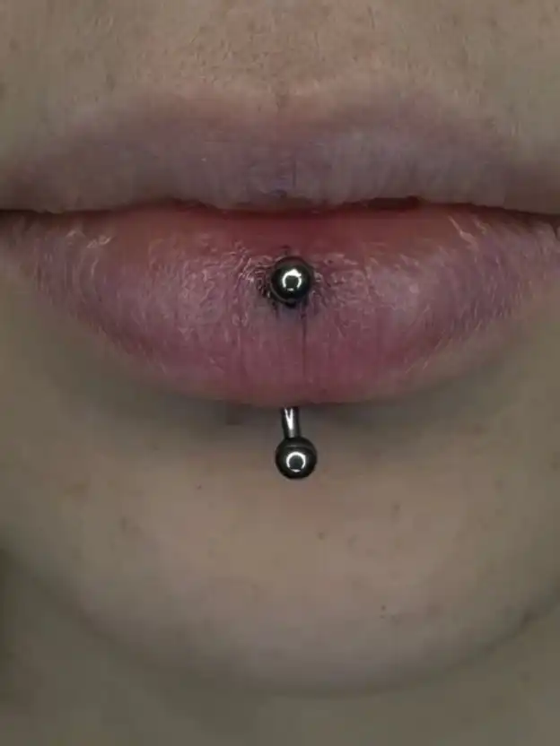 ורטיקל לברט