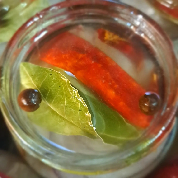 דגים כבושים