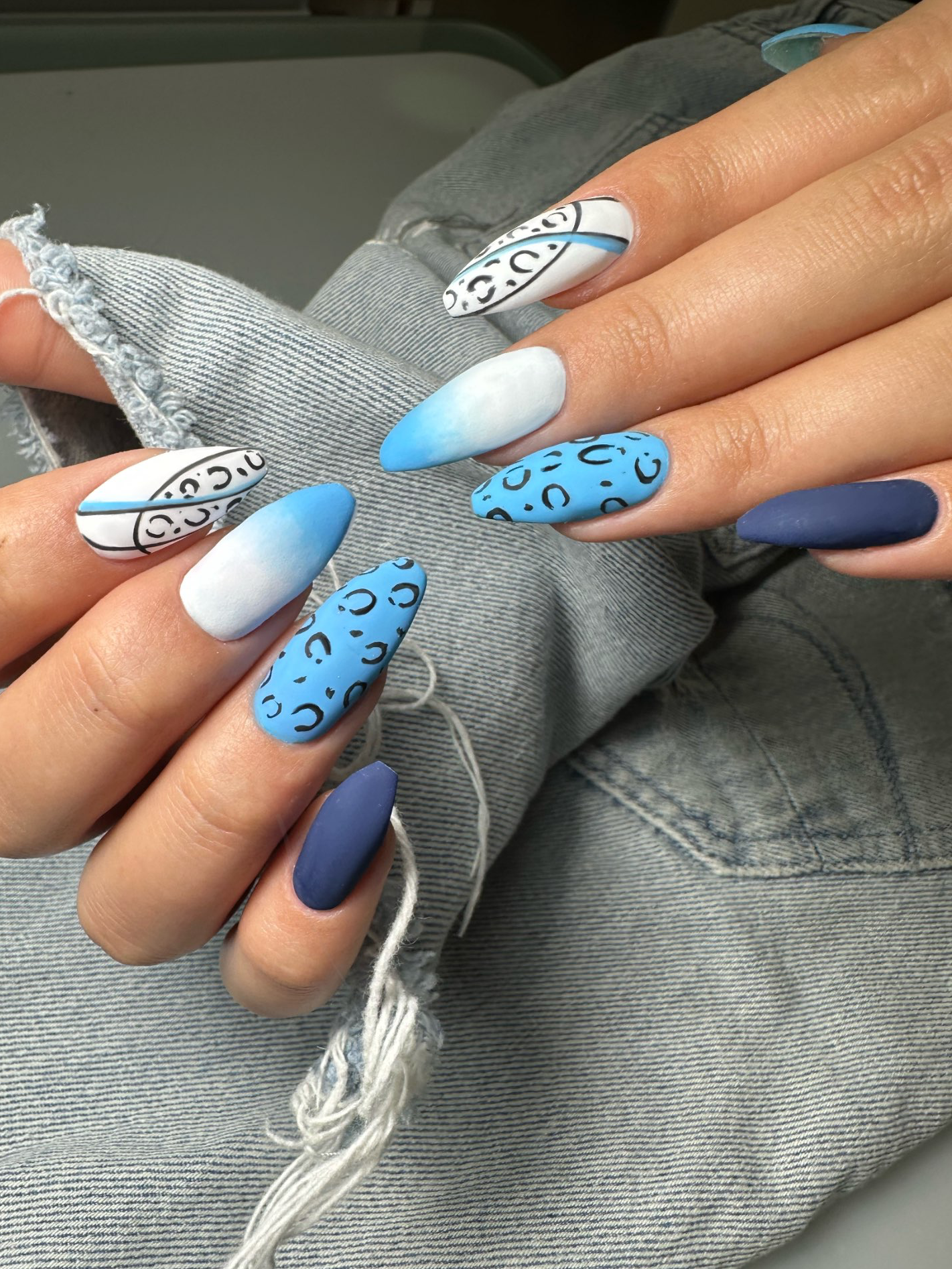 לקט ציורים מובחרים