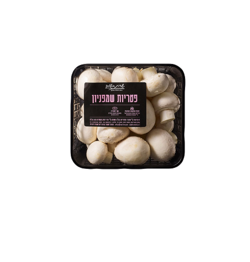 פטריות שמפיניון  - שדות בעמק