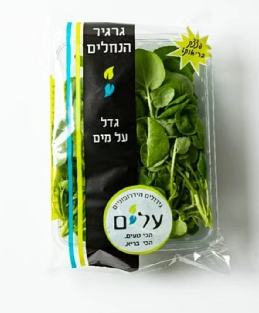 גרגר נחלים