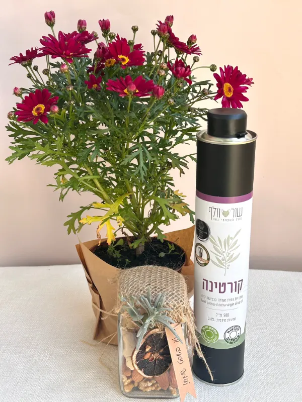 מארז חרציות 6