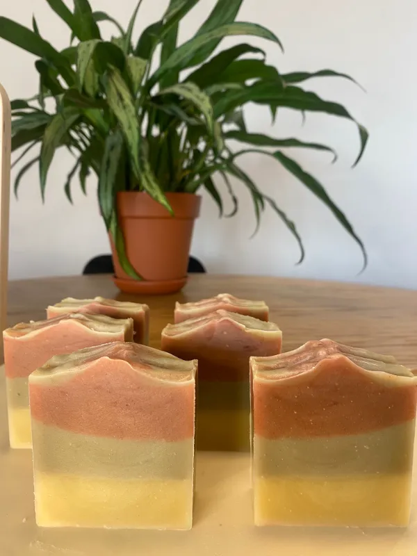 סבון הדרים משמח🍊 מוכן לשימוש 2/2/26