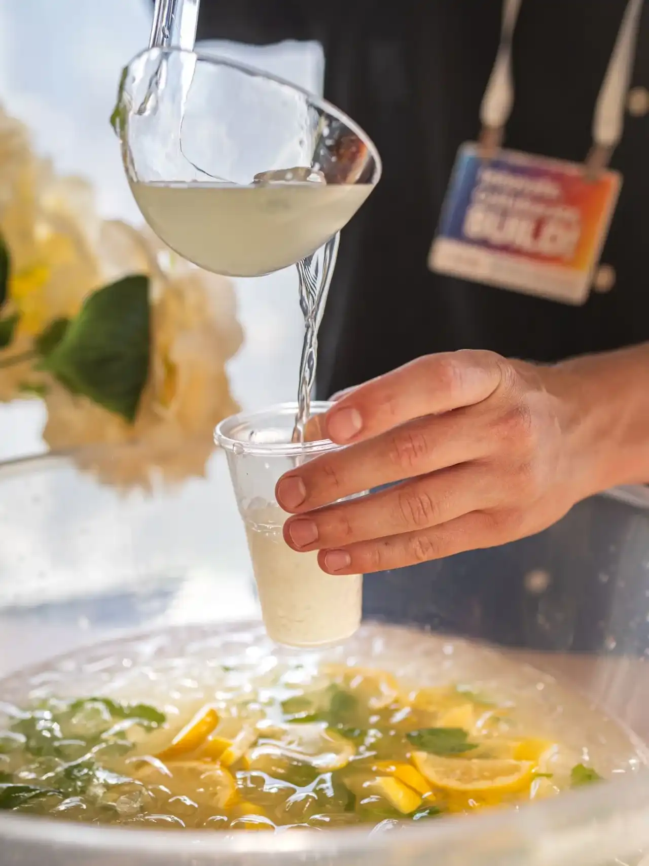 בר פונצ׳ים/ יין