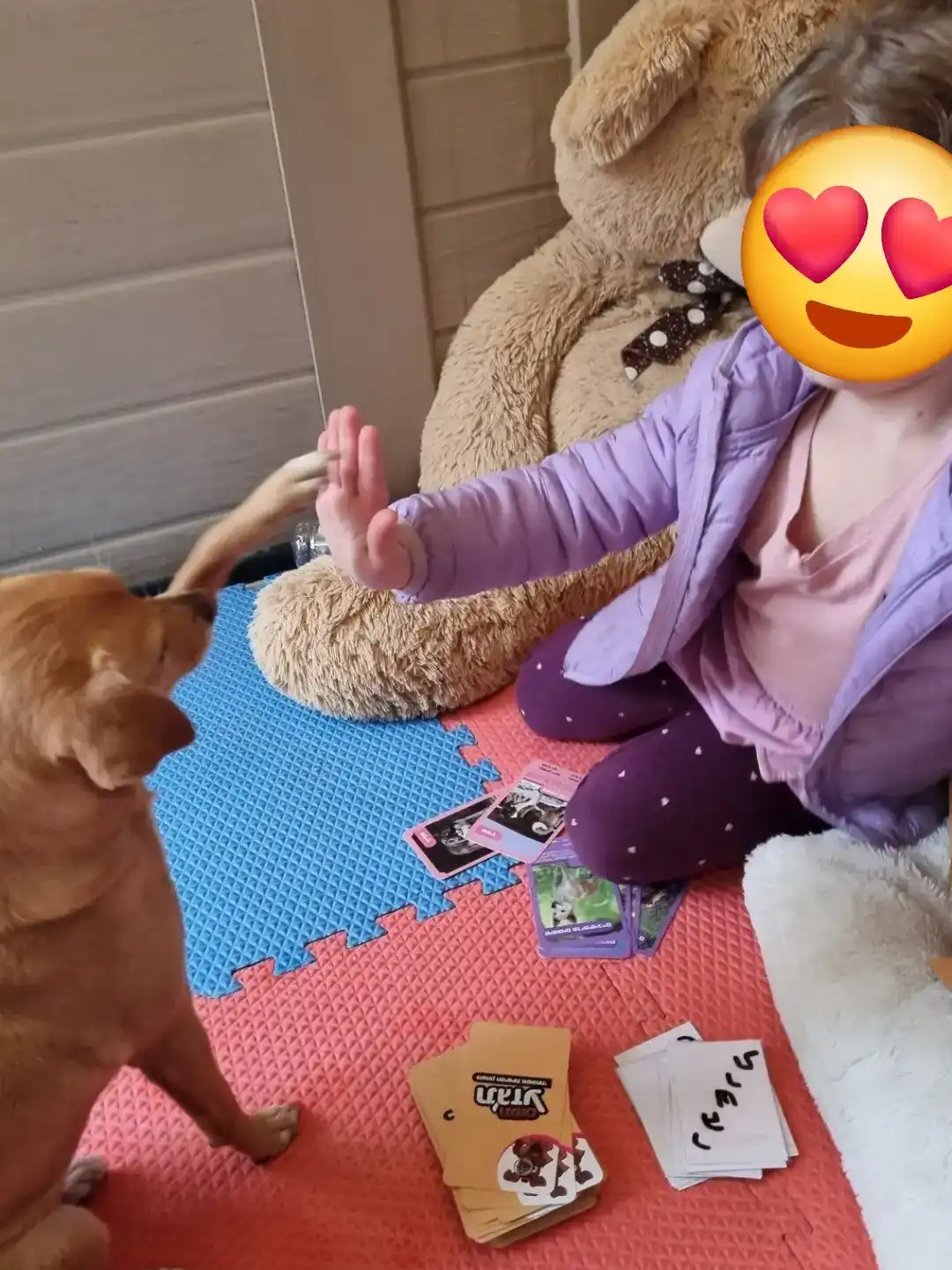 מה קורה במפגש כלבנות טיפולית? הצצה לתהליך