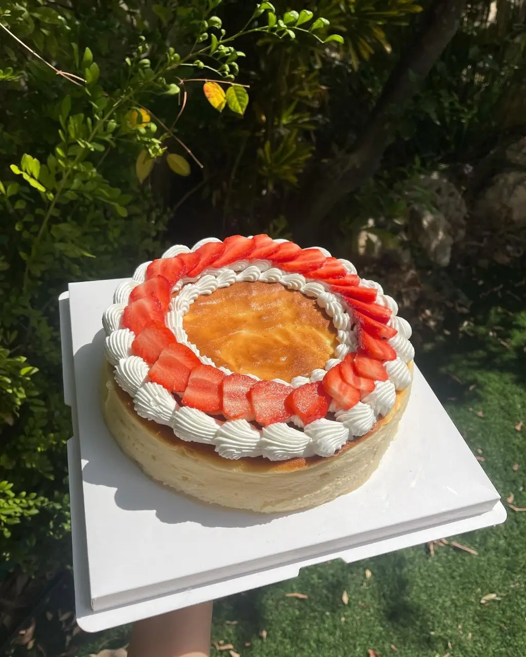עוגת גבינה