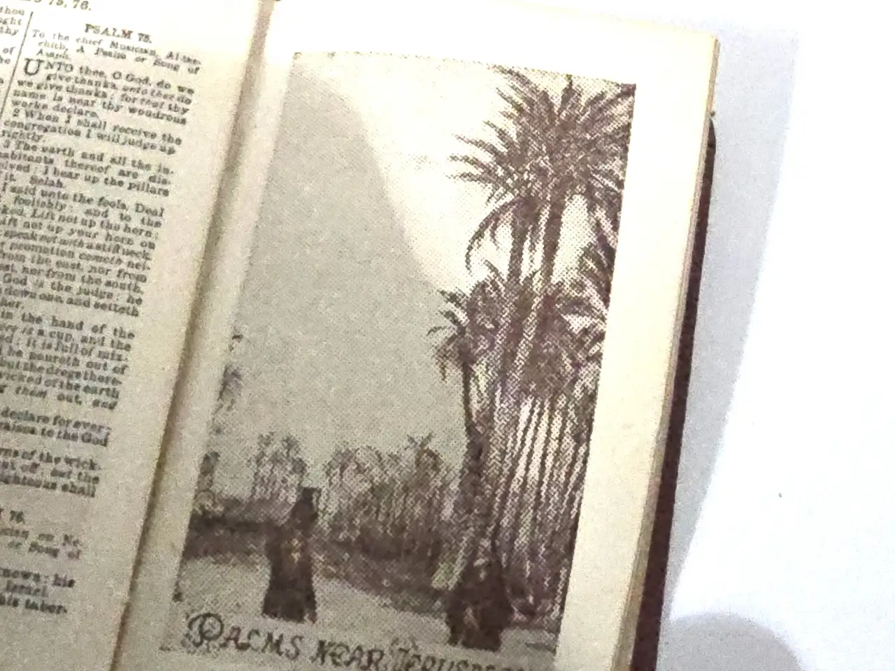 2 ספרוני תהילים מיניאטוריים -פלשתינה ארץ ישראל- מידה כ-6 ס"מ. כפי שמצולם בפירוט. יודאיקה Book Of Psalms