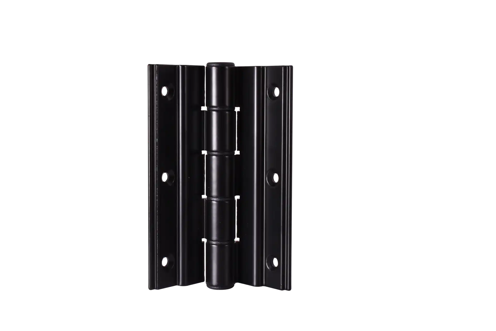 ציר דלת כניסה