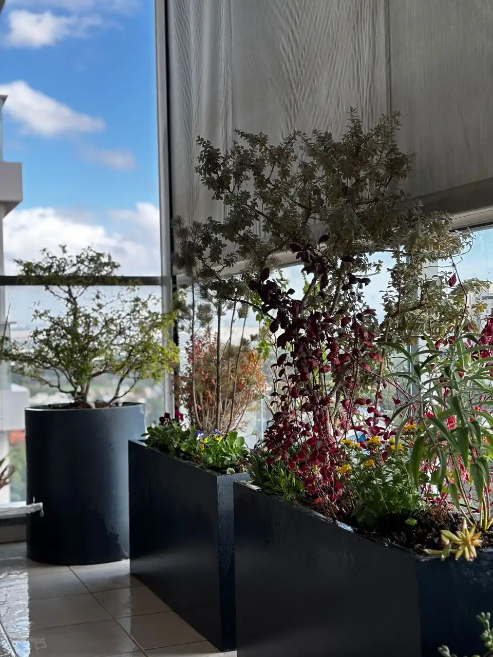 פתרונות השקיה