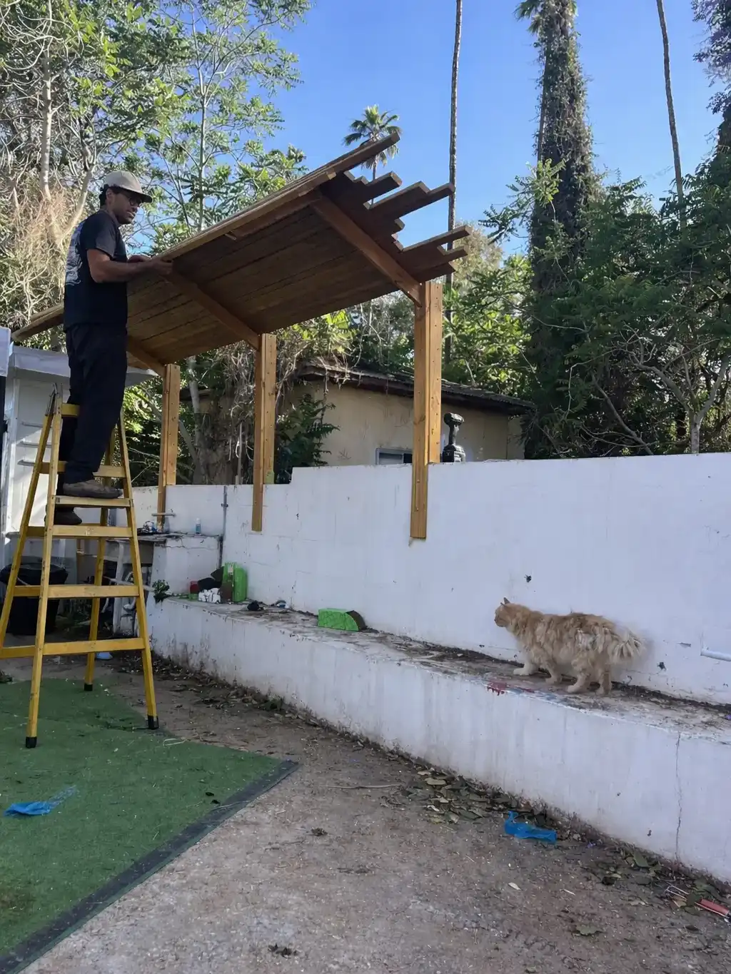 פרגולה מעץ מלא - החל מ450₪ למ״ר