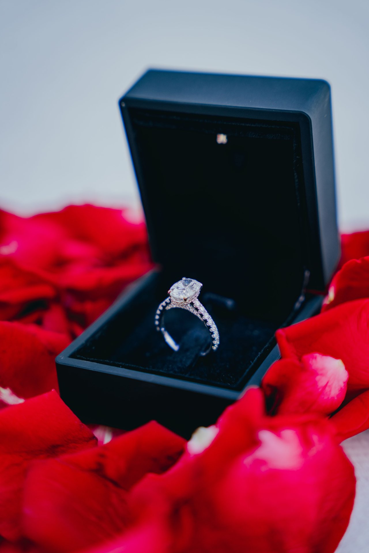 הצעות נישואין