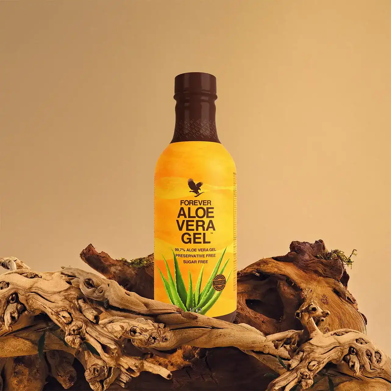 יתרונות בריאותיים של אלוורה לגוף ולנפש