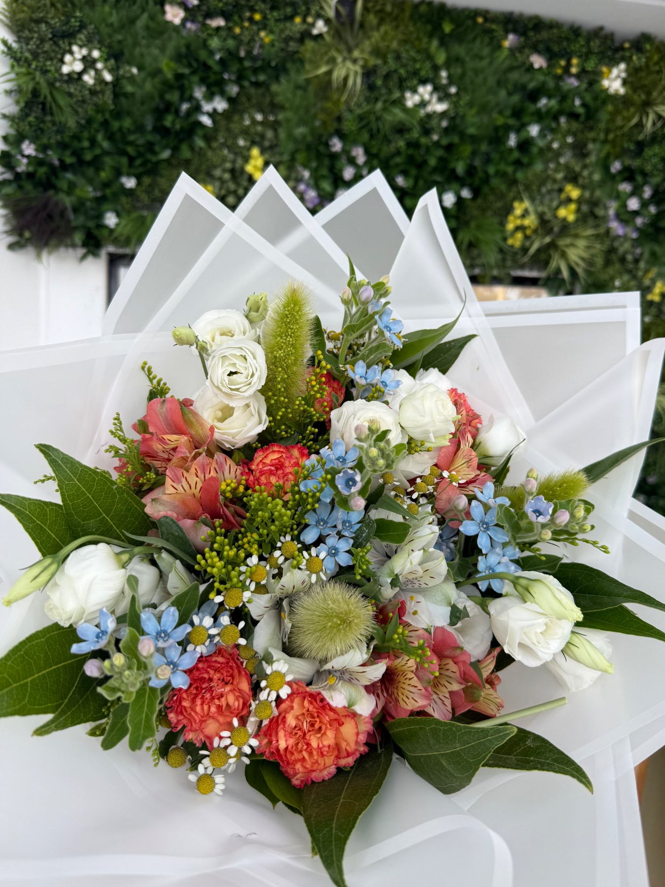 מחלקת פרחים פרימיום חנות פרחים אור עקיבא