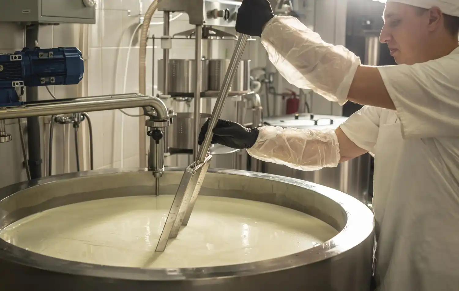 הכנת גבינות