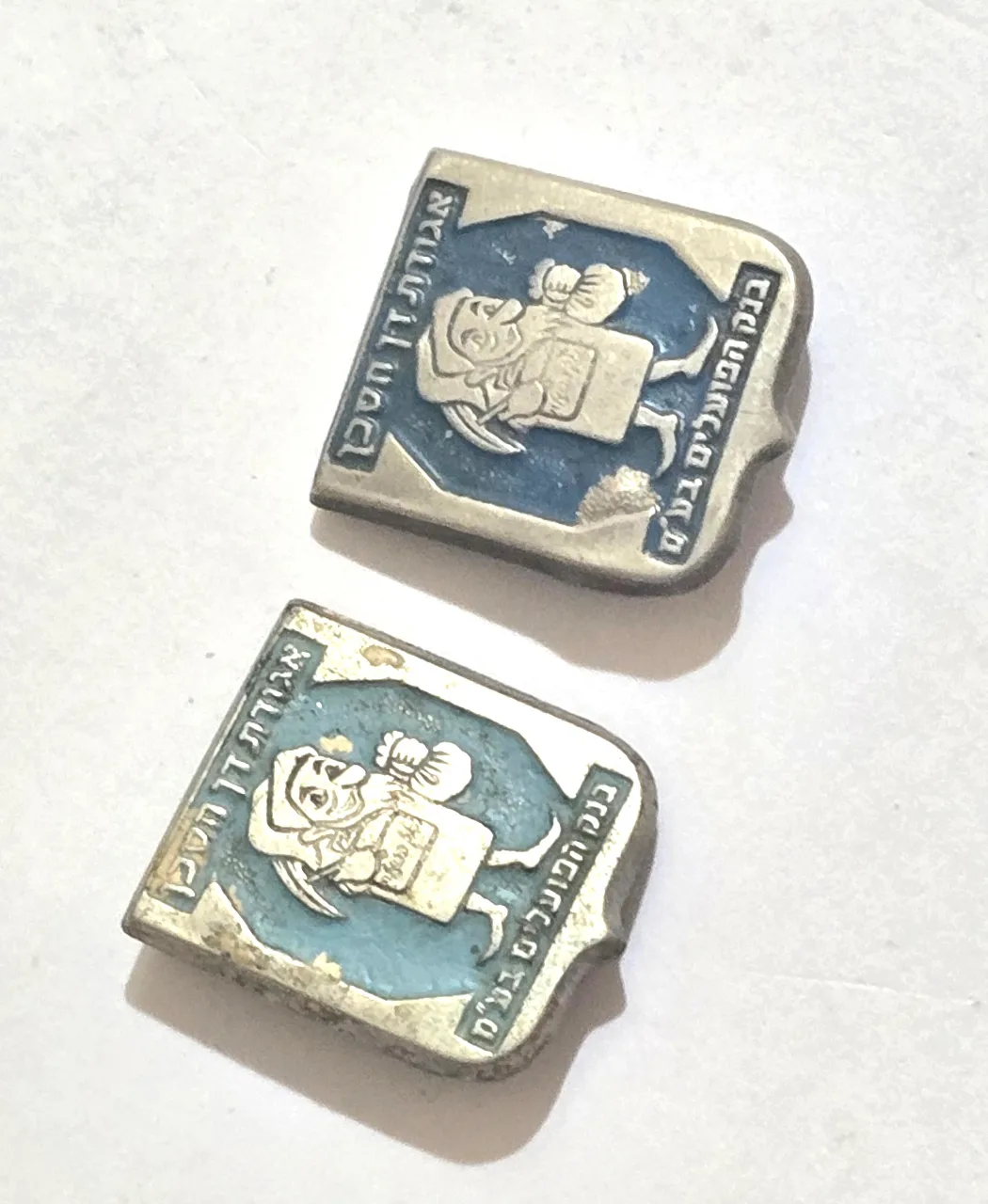 לוט 2 סיכות, שונות זו מזו, של אגודת דן חסכן בנק הפועלים בע"מ.