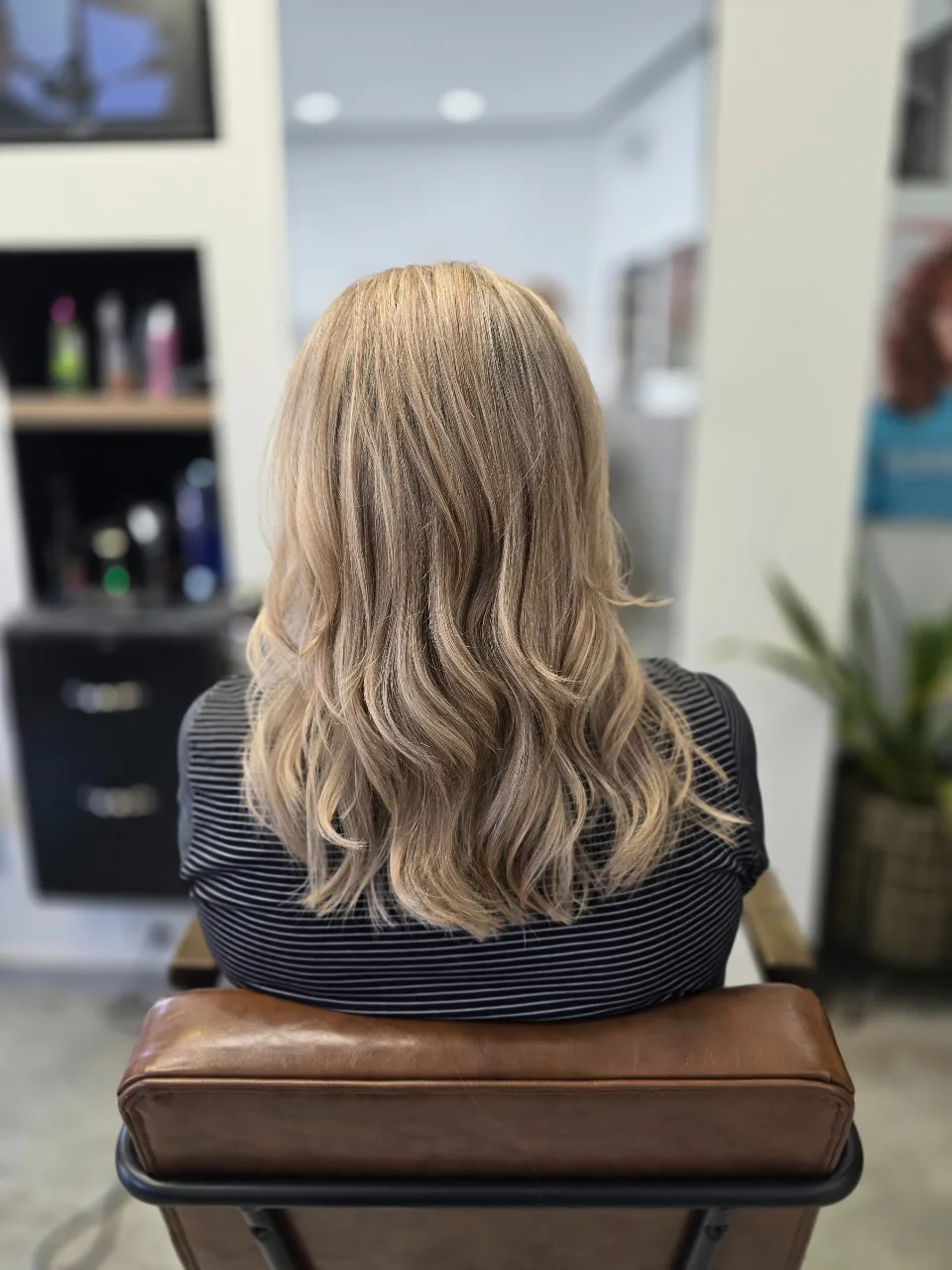 גוונים / בליאז