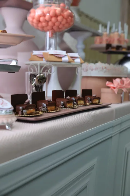 עוד מבר בת מצווה ורוד כסף