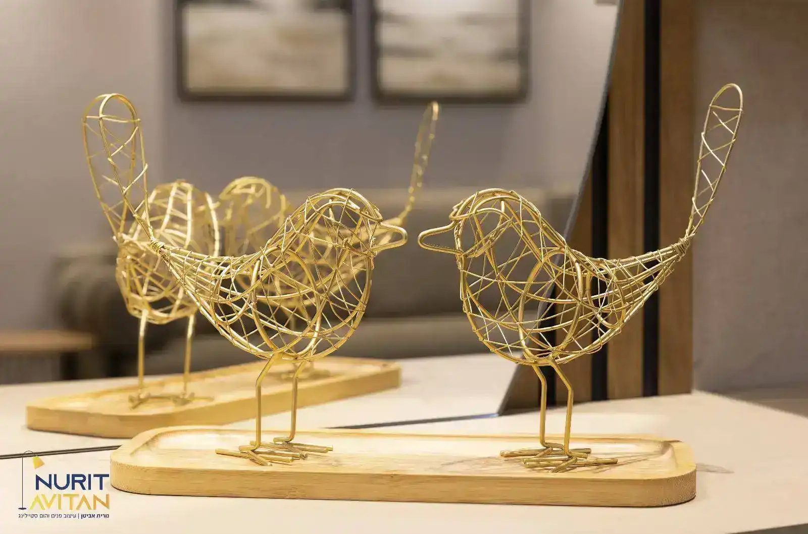 איך אדריכלית לבתים פרטיים – הופכת חלום למציאות?