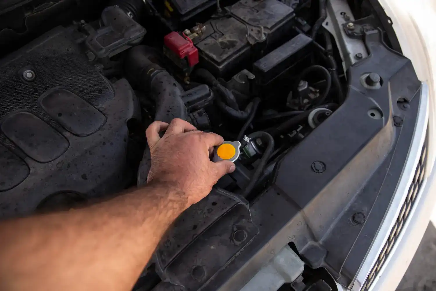 מהו תפקידו של הממיר הקטליטי