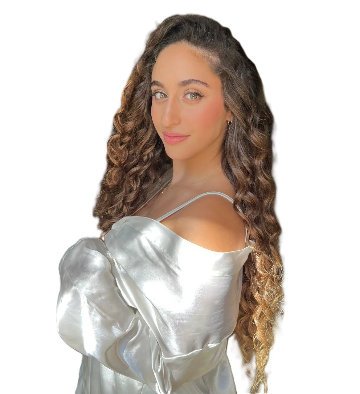 נועם ביבי