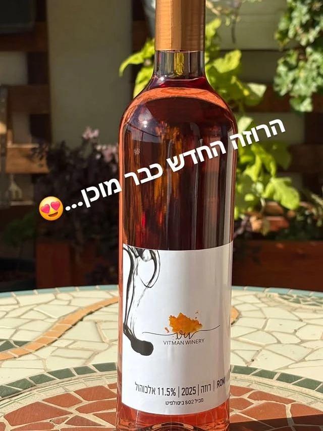 רוזה