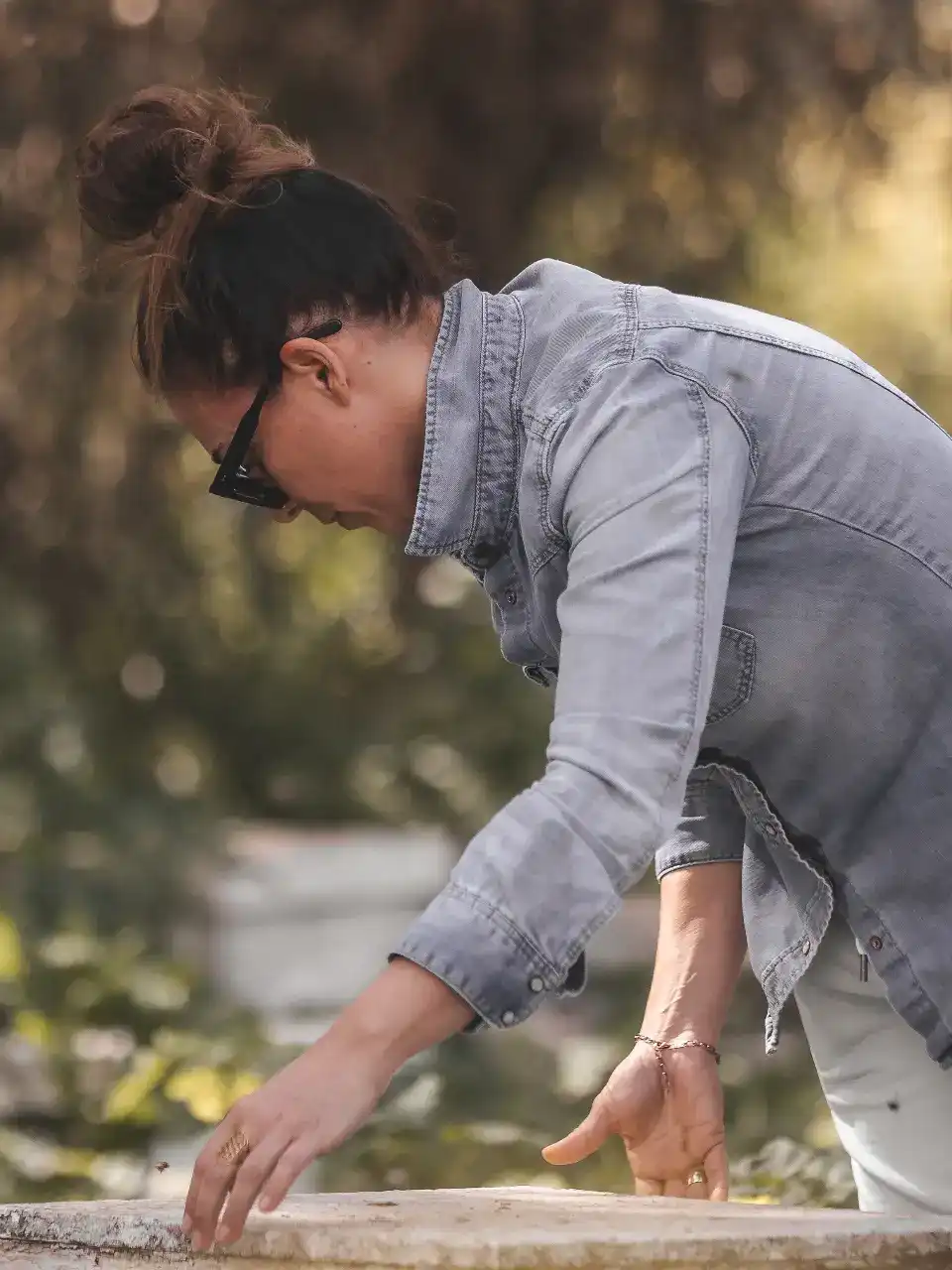 ארס (וונום) הדבורה 