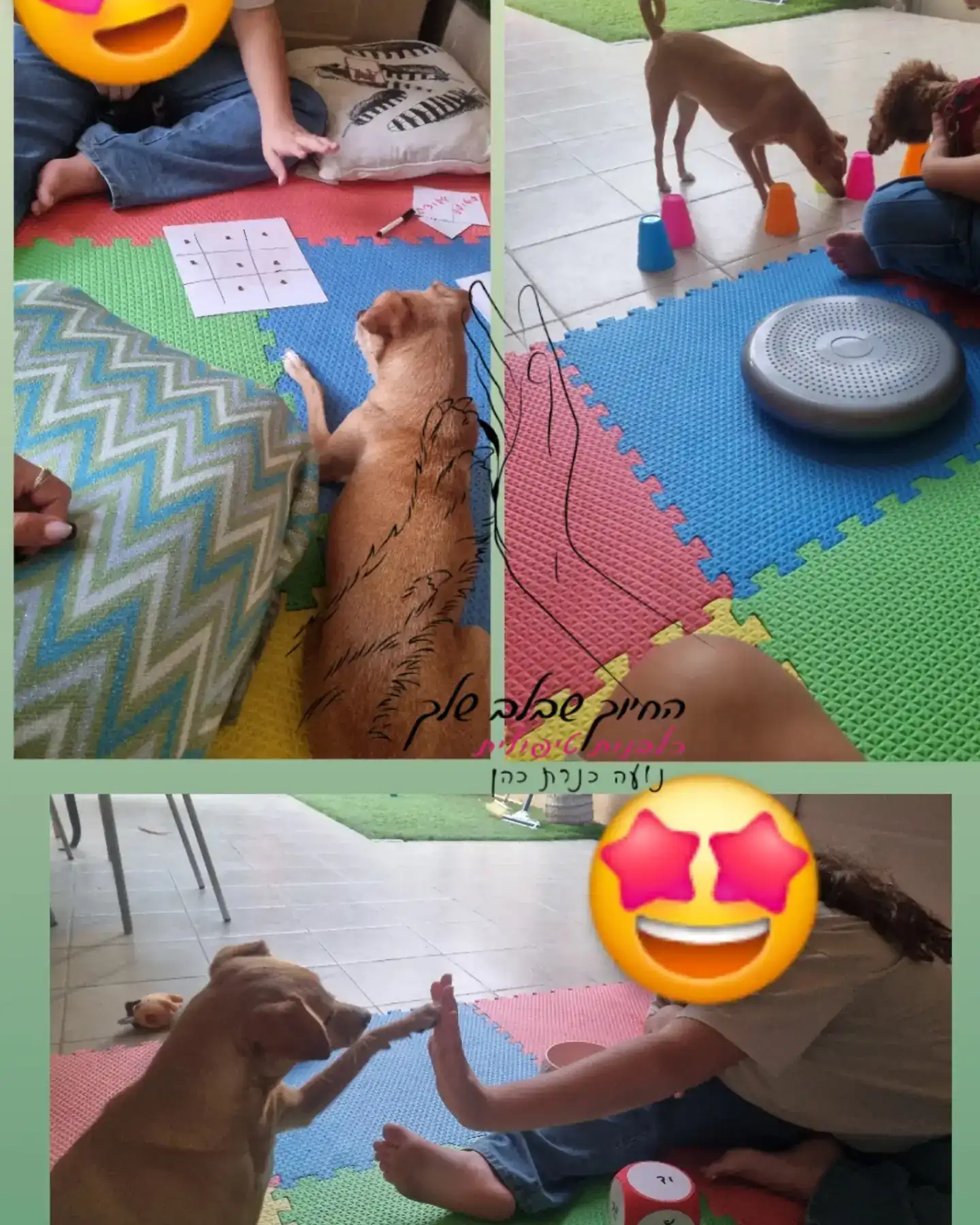 תהליך של 5 מפגשים