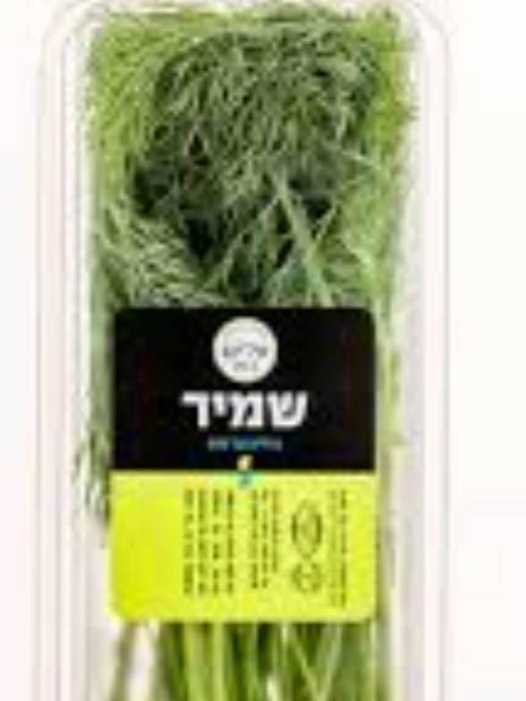 שמיר