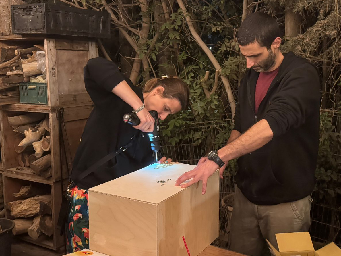 חוויה מחברת