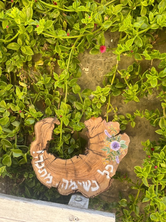 משפט לבית על עץ טבעי מטריף