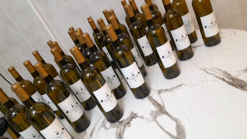 עיצוב מדבקות מיוחדות ליין