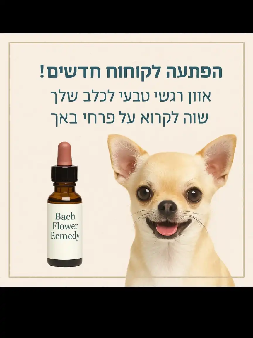 פרחי באך